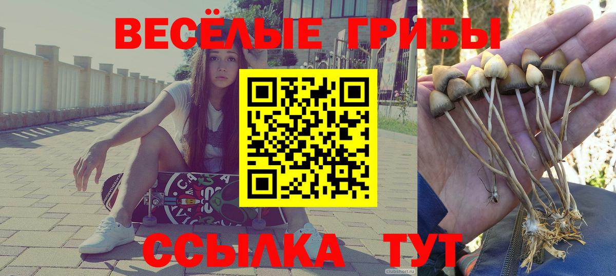 Псилоцибиновые грибы Magic Shrooms  Вход с VPN  Псилоцибиновые грибы MAGIC MUSHROOMS  Избербаш 