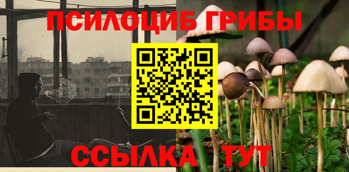 Псилоцибиновые грибы Psilocybe Избербаш